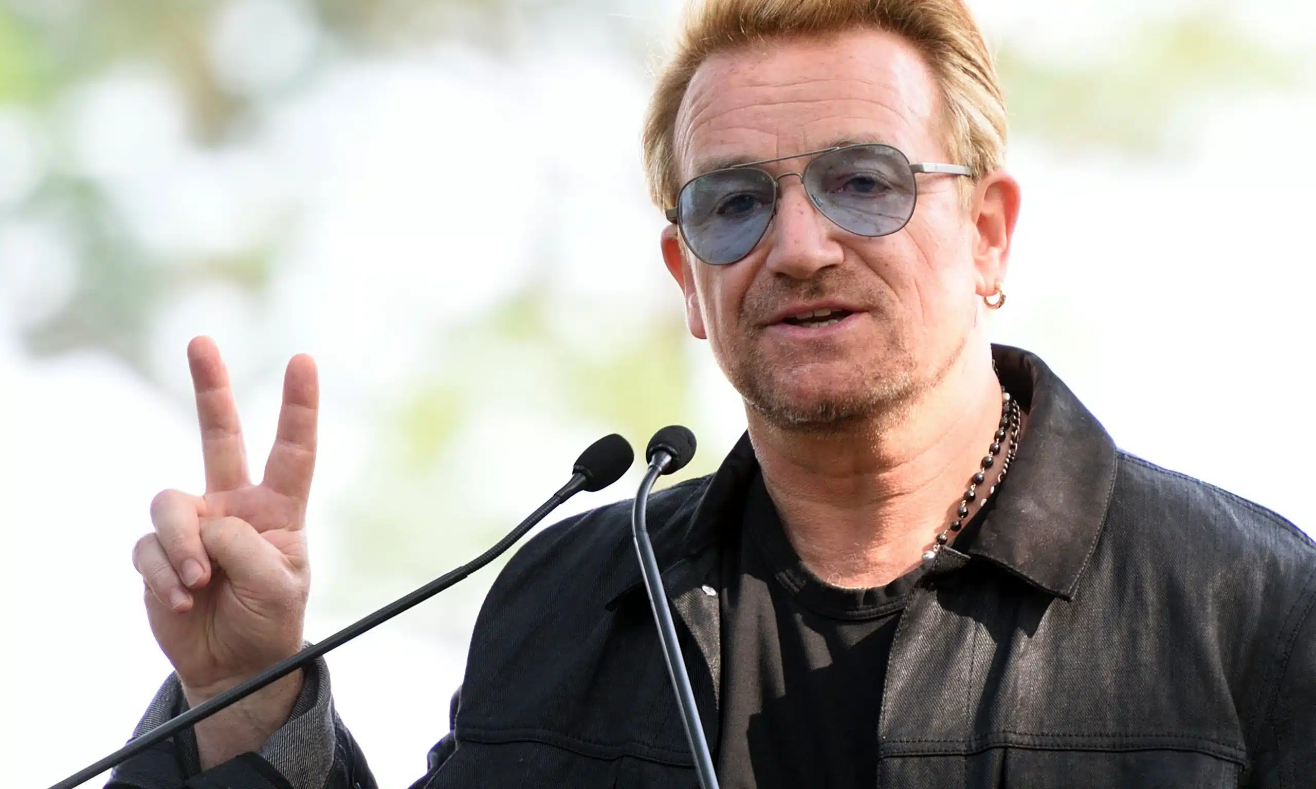 bono