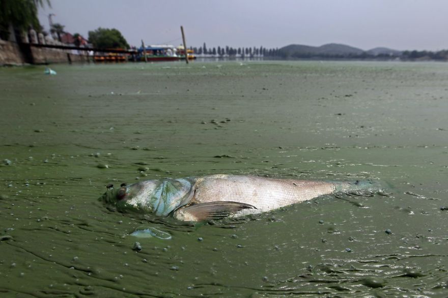 china-pollution-14