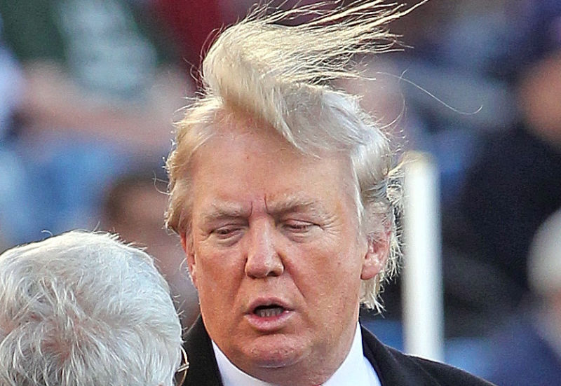 donald-trump-hair
