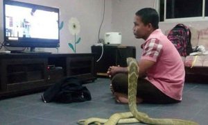 guy-and-snake