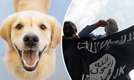 isis-suicide-bombers