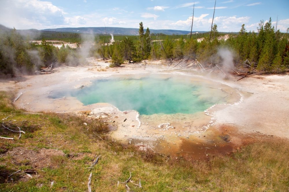 norris-geyser