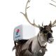 pizza-reindeer