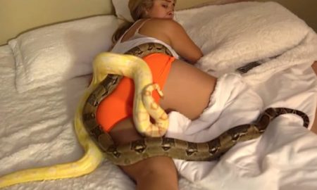 snake-prank