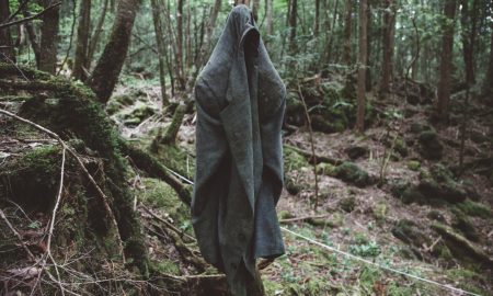 aokigahara-forest