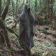 aokigahara-forest