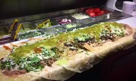 anaconda-burrito