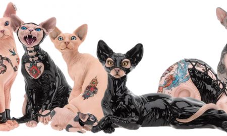 bondage-cats