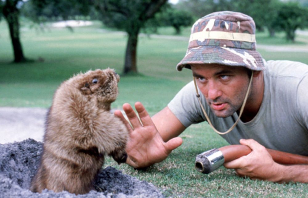 caddyshack