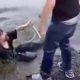 drunk-river-fight