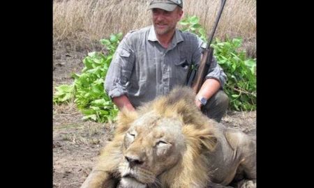 hunter-dead-lion