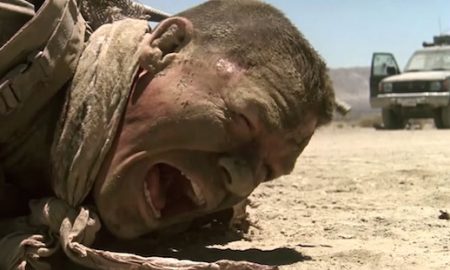 john-cena-the-wal