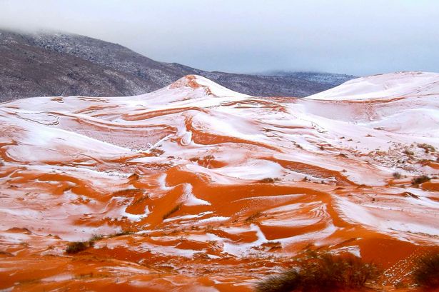 sahara-desert