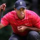 tiger-woods