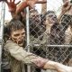 walking-dead-universal-studiso