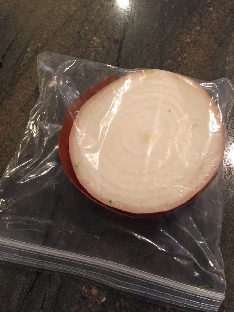Help This Half An Onion In A Bag Get More Twitter Followers Than Donald Trump