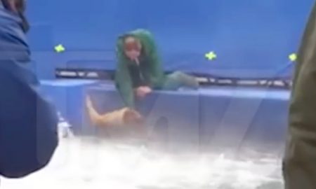 Dog Drowning A Dog's Purpose