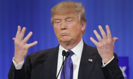Donald trump hands