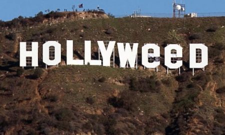 hollyweed