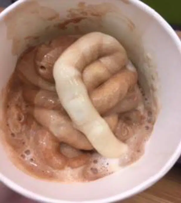 gross-shake