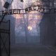 Aushwitz 1