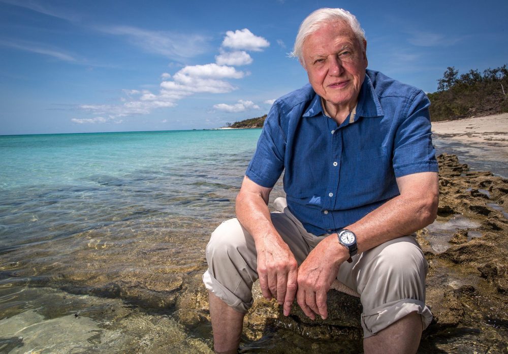 David Attenborough sea