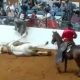 Dead Horse
