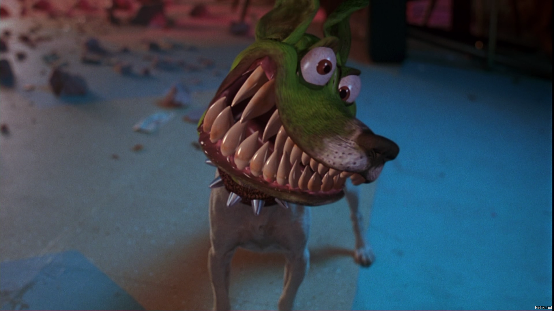 Dog from the mask