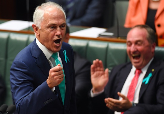 Malcolm Turnbull Sucking Cocks