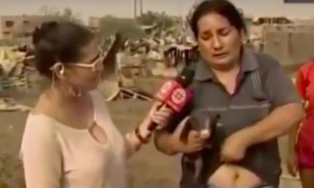 Piglet TV