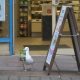 Seagull greggs