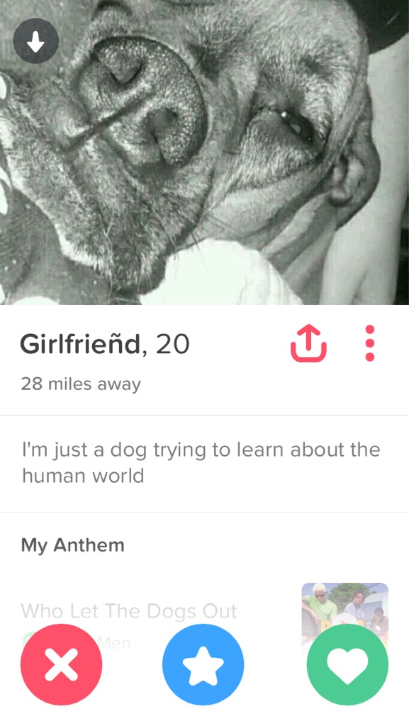 Tinder 7