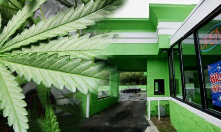 Weed Drive Thru 1