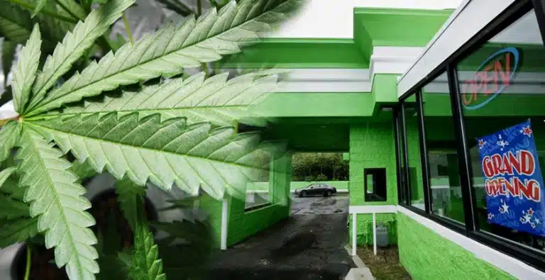 Weed Drive Thru 1