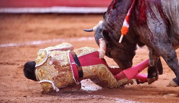 Bullfighter Anus Destroyed