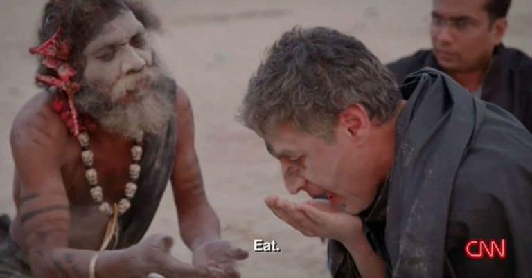 CNN reporter eats brains