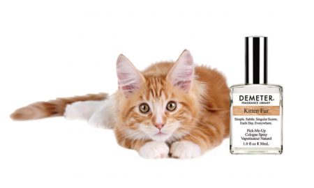 Cat Perfume