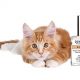 Cat Perfume