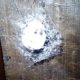 Huntsmen Spiders