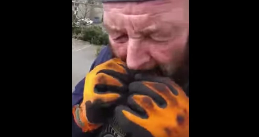 Man eats wolf spider