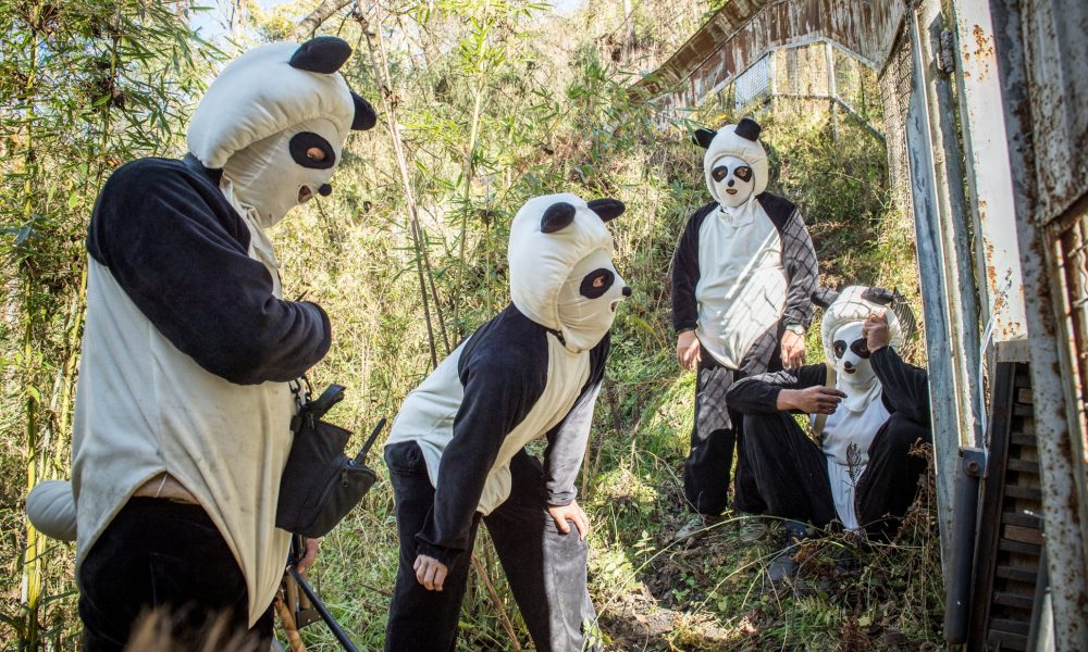 Panda Costumes