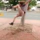Skateboarder