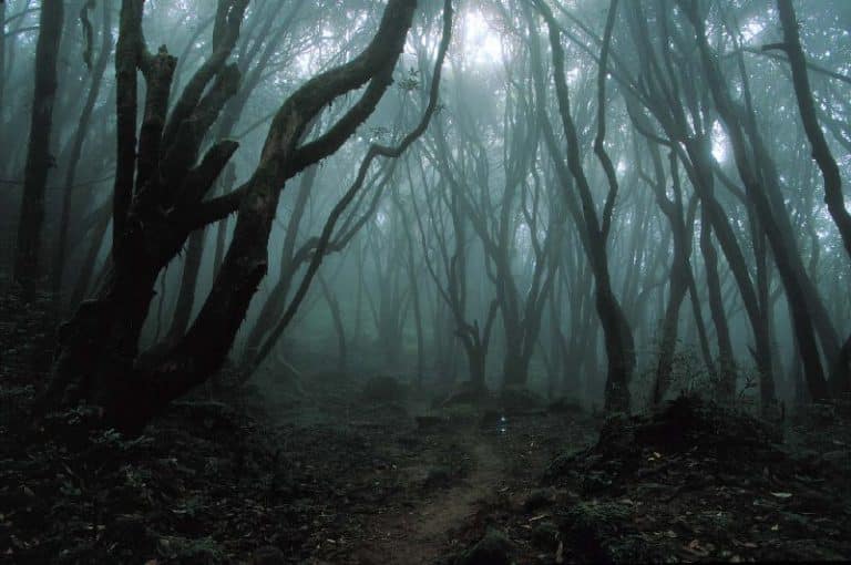 Channel 4 Facing Human Rights Backlash Over ‘Eden’ Illegal Controversy