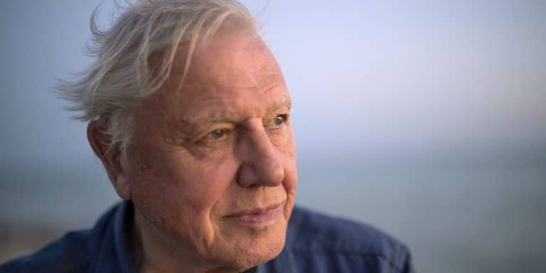 Great Barrier Reef with David Attenborough