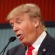 Donald Trump Mental