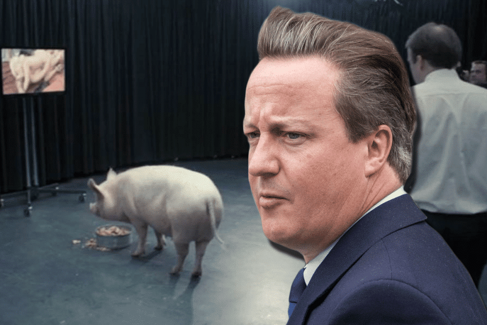 Piggate