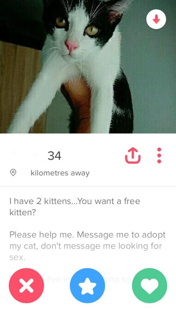 Tinder 17