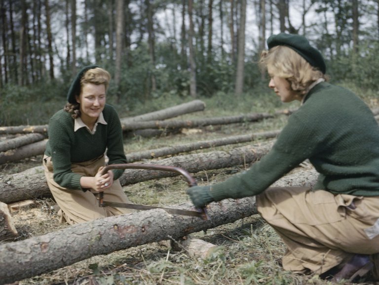 The Second World War in Colour