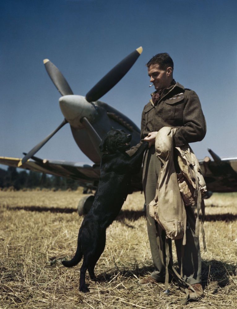 The Second World War in Colour