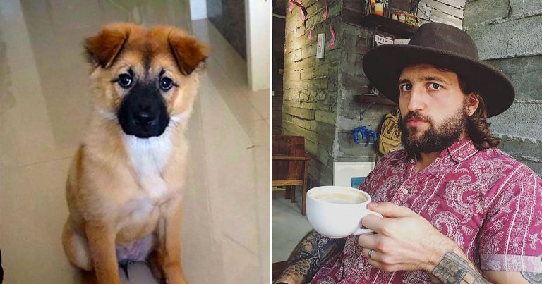 This Traveller’s Trip To The Dog Groomers In China Couldn’t Have Gone More Wrong